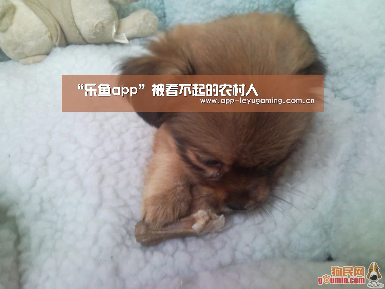 乐鱼体育